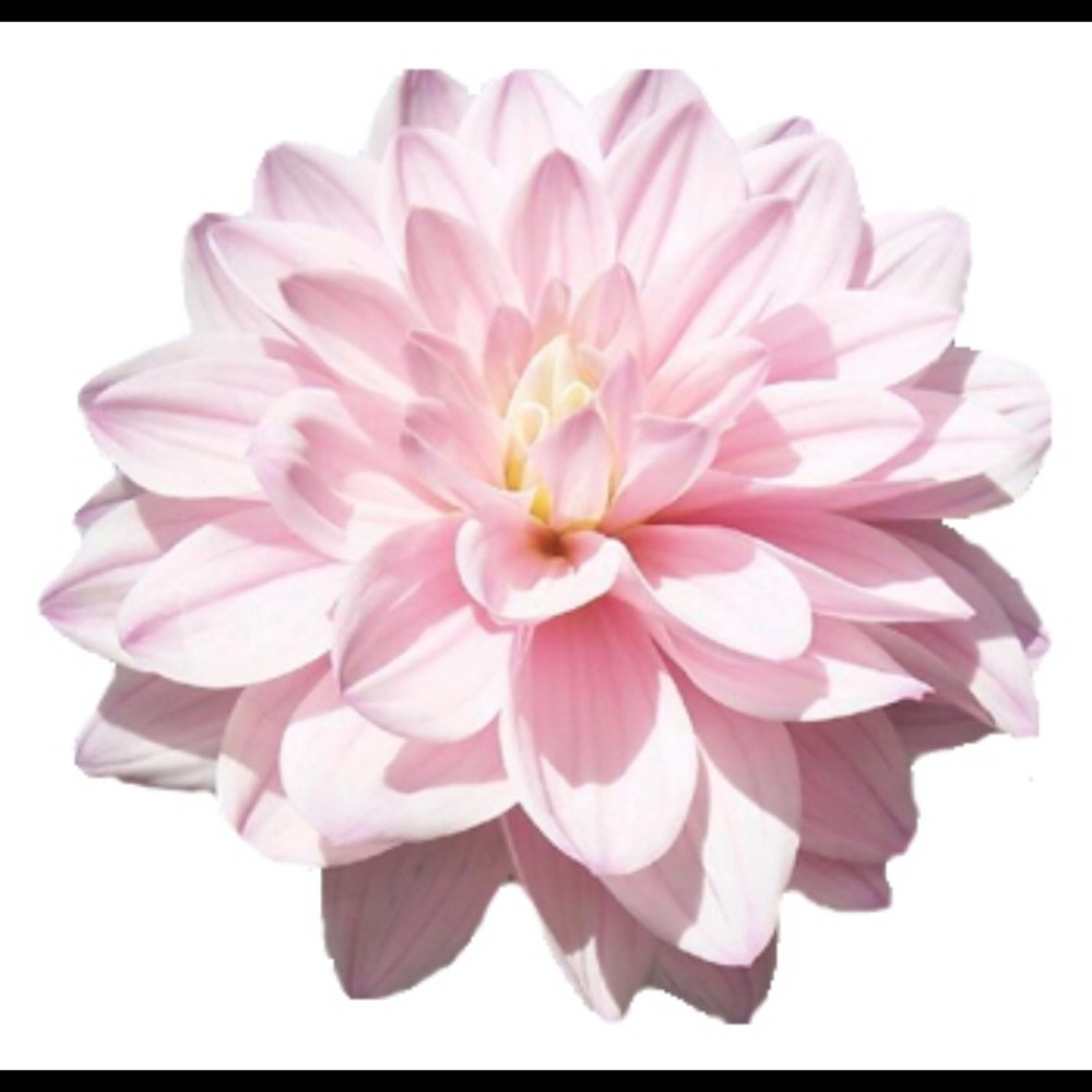 Meet your Posher, Coco